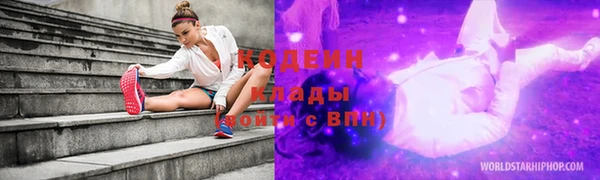 ПСИЛОЦИБИНОВЫЕ ГРИБЫ Корсаков