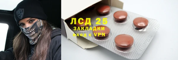 ПСИЛОЦИБИНОВЫЕ ГРИБЫ Корсаков