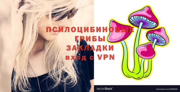 ПСИЛОЦИБИНОВЫЕ ГРИБЫ Корсаков
