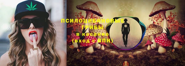 ПСИЛОЦИБИНОВЫЕ ГРИБЫ Корсаков