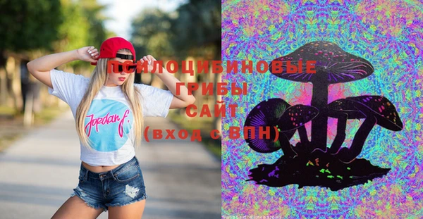 мяу мяу кристалл Костерёво