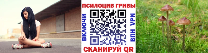 мега ТОР  Закаменск  Галлюциногенные грибы MAGIC MUSHROOMS 