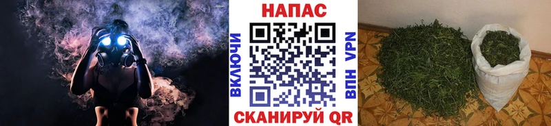 Каннабис семена  наркотики  Закаменск 